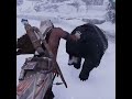 Assassin’s Creed 3 Parkour and Hunting with Master Connor