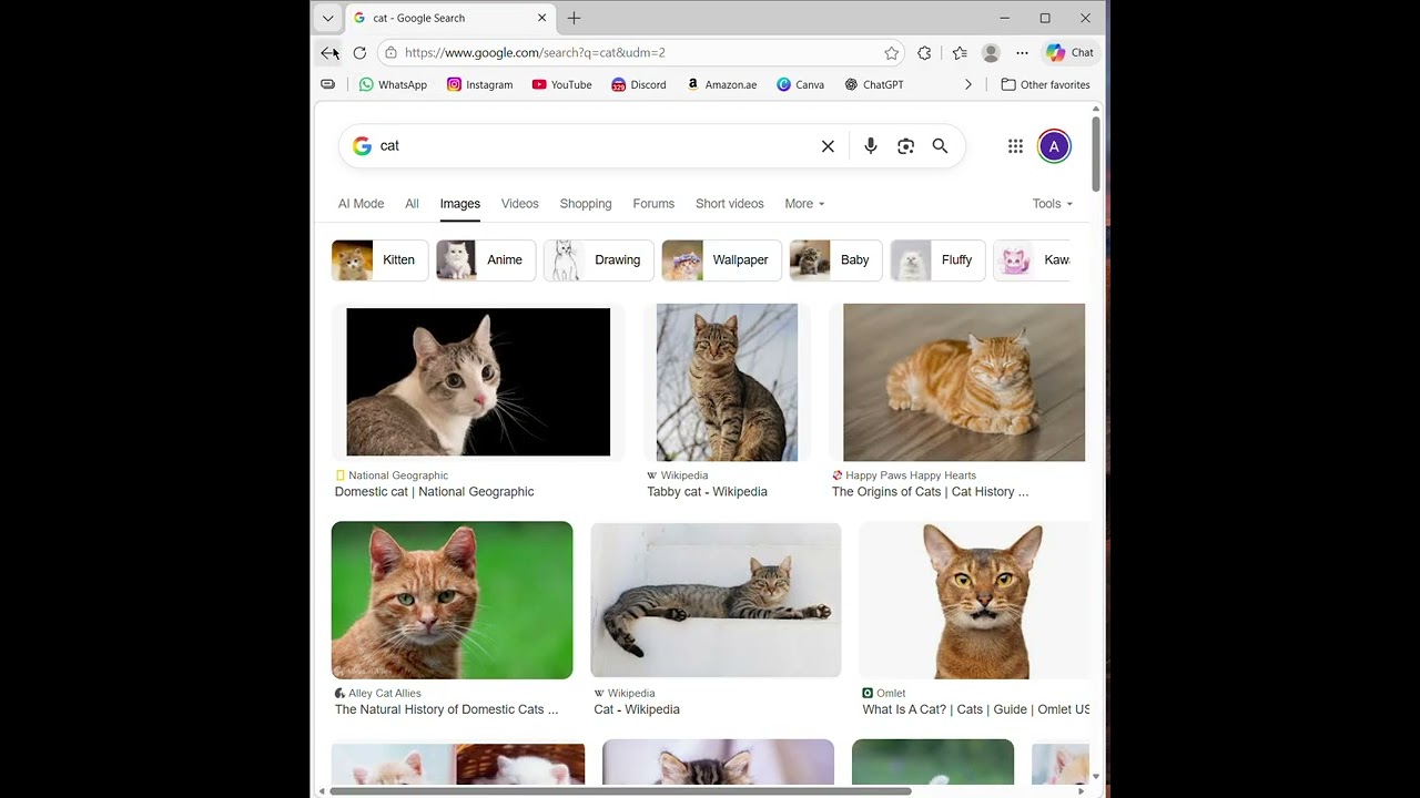 Project 0 - CS50W - Google Search