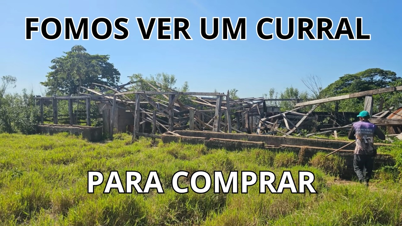 ME AJUDEM A AVALIAR O VALOR DESSE MADEIRAMENTO