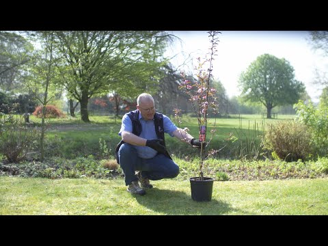 #dabeiTV Gartenshow -