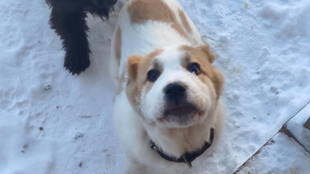 Солнечный денёк на ферме 🐰