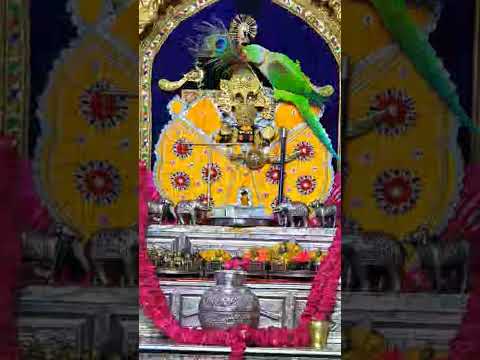 *21_ मई_2026*🚩🙏🏻*आज_के_  श्रृंगार  आरती दर्शन 🌸🙏। *༺꧁जय श्री सांवरिया सेठ जी꧂༻