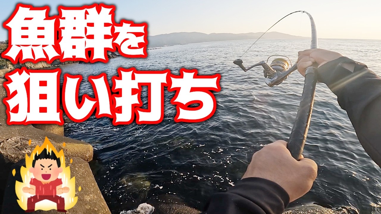 【紀州釣り】クロダイの群れをダンゴで直撃して連発ショー開幕！紀州釣りの真骨頂【黒鯛釣り】【釣武者】