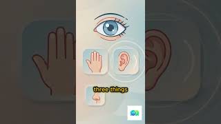 Stop Rumination With This One Rule #psychology #mindset #shorts