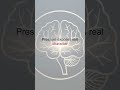 Pressure exposes real character – Mental Strength Rule #shorts