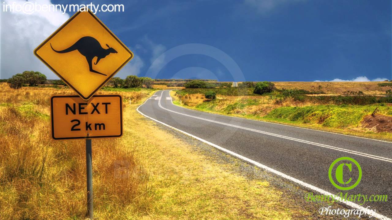 Kangaroo crossing sign - YouTube