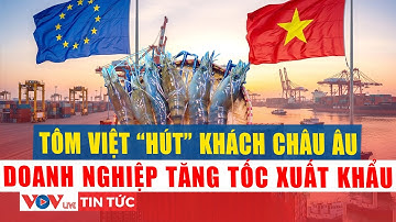 Xuất khẩu tôm Việt Nam sang Châu Âu bứt tốc nửa đầu năm 2025 | VOV Live
