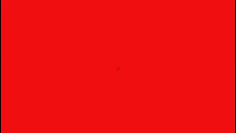 Susanna and The Roomates "Lets Go Steady Again"