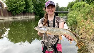 Ultralight Creek Fishing for Northern Pike and Smallmouth Bass