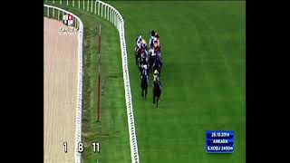 2014 CUMHURBAŞKANLIĞI KOŞUSU SUZİ GOLD / ÖZCAN YILDIRIM - 2.400M ÇİM screenshot 2
