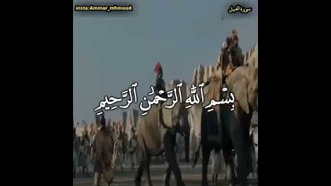 سوره الفيل صوت جميل