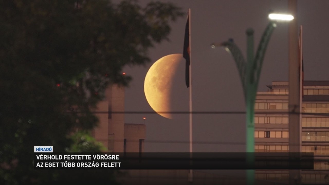 Vérhold festette vörösre az eget