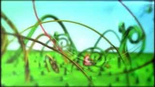 فاصل الربيع | طيور الجنة