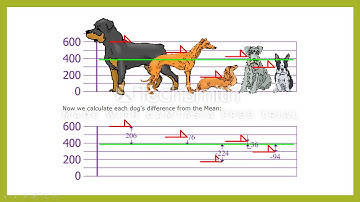 Week 13 -  Sampling -  Part 1 (Internal Auditing in Excel -  Arabic)