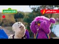 بث مباشر استكشفوا عالم الحيوانات مع أهلا سمسم بث مباشر استكشفوا عالم الحيوانات مع أهلا سمسم