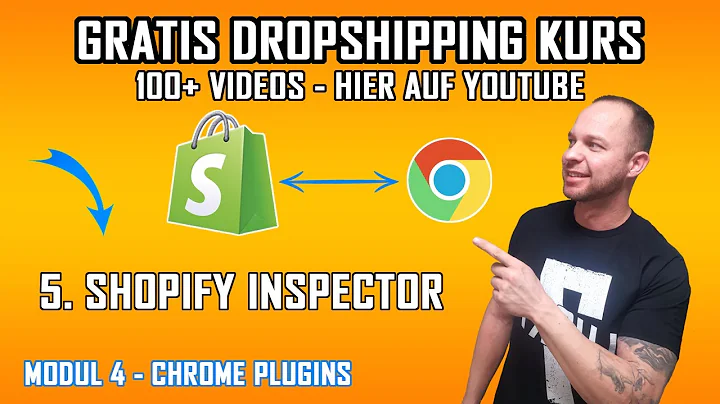 Shop Inspector Plugin: Datenanalyse für Online-Shops