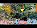 〔DIY〕庭池作り4年間の変遷　　２０１６～２０２０
