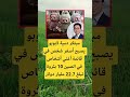مبتكر دمية لابوبو يصبح أصغر شخص أغنى الله لايك ترند 100 اقنباسات معلومات اكسبلور شعر تيك توك مبتكر دمية لابوبو يصبح أصغر شخص أغنى الله لايك ترند 100 اقنباسات معلومات اكسبلور شعر تيك توك