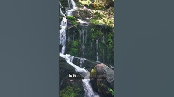 YOUR SIGNATURE CREATES MONEY #freedom #sovereignty #law