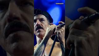 Is Kiedis Finally Getting OLD? 🤔 Wealth