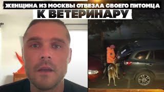 Женщина из Москвы отвезла своего питомца к ветеринару. Жаль что не поменять их местами