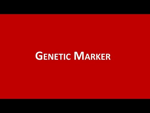 Genetic Marker (Penanda Genetik / Penanda Molekuler)