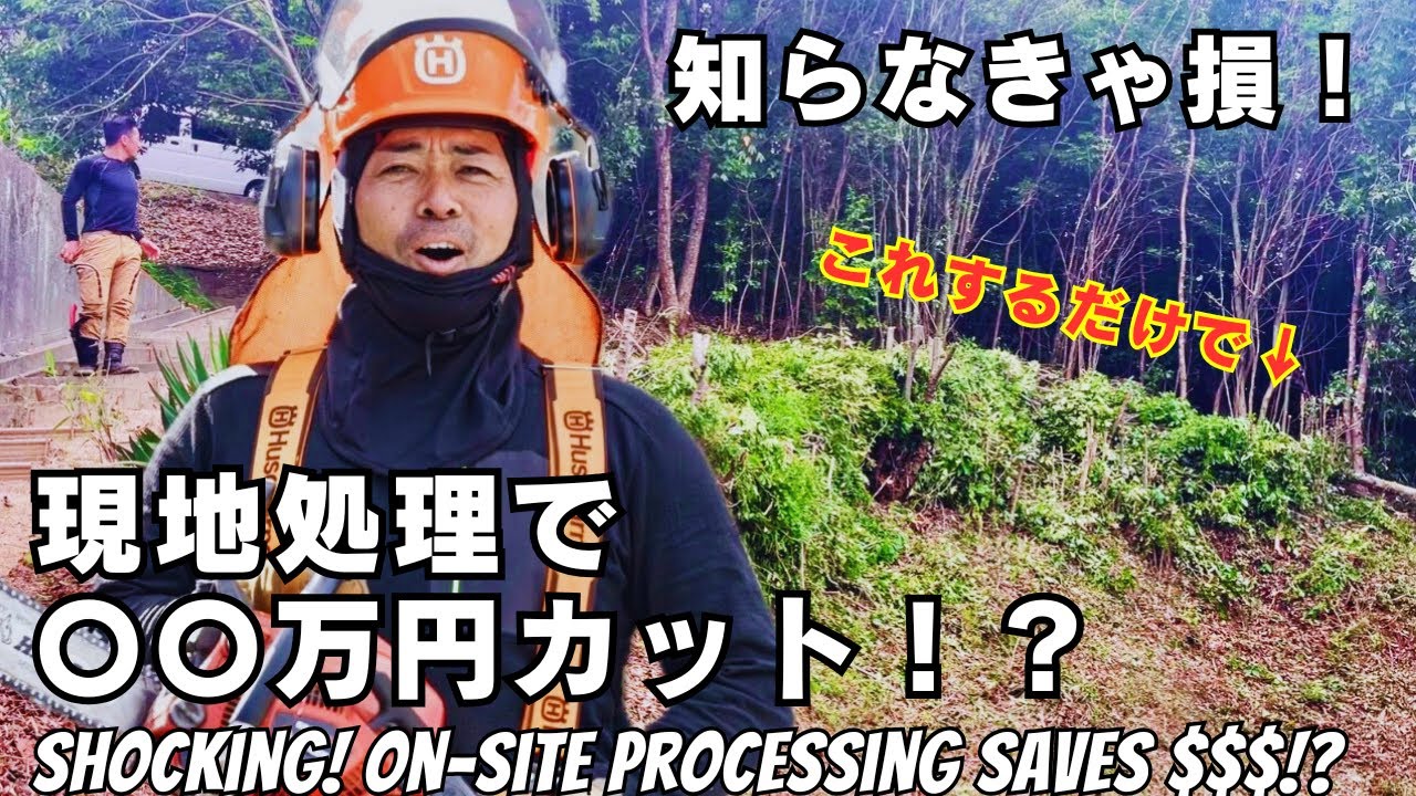 【裏山伐採】現地処理で費用を大幅カット！