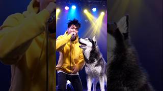 “Me and my dog are in a face-off rap battle on stage.” #zboys #japhy #sadboyz #willz #jasch #jonyj