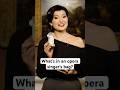 What does a professional #opera singer take to work? 👜