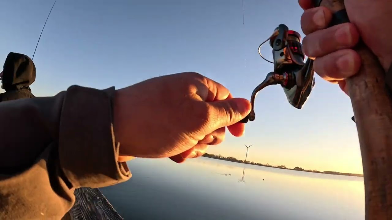 Palmdale Fin & Feather Club Fishing Trout Hunting