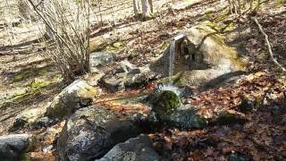 Spring Water Harvesting (Permaculture Systems)