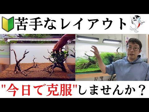 天然流木343 アク抜き処理済み　沈水処理済み　ビオトープ　水槽レイアウト Everyone can do it!] A cool aquarium layout lesson using driftwood