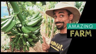 Growing BANANAS in Missouri? || Baker Creek FARM TOUR