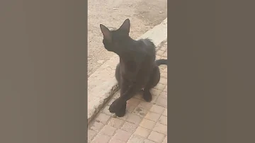 Foryou اكسبلور صبرو Plants اسمعنا Nature الجيلي Garden النظافه ترند 