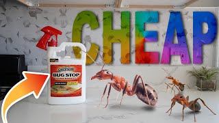Get Rid Of Ants In Your House For $7 Dollars / Cheapest &amp; Most Effective Ant Spray