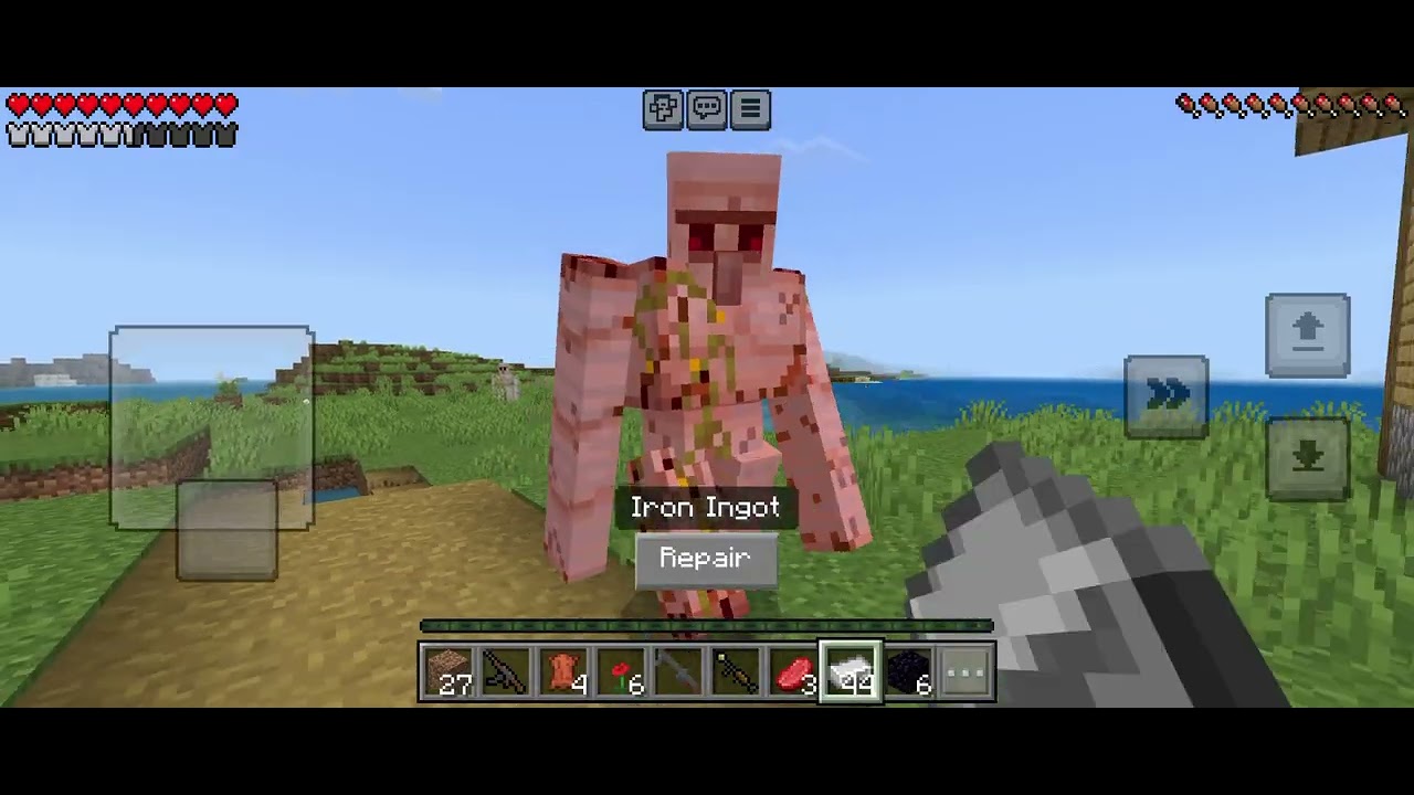 Halo gais kembali lagi sma aku hari ini aku main minecraft tujuan membunuh iron golem dengan pistol