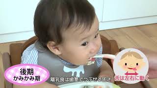 楽しい離乳食デビュー【赤ちゃんの口の動き・食べさせ方】