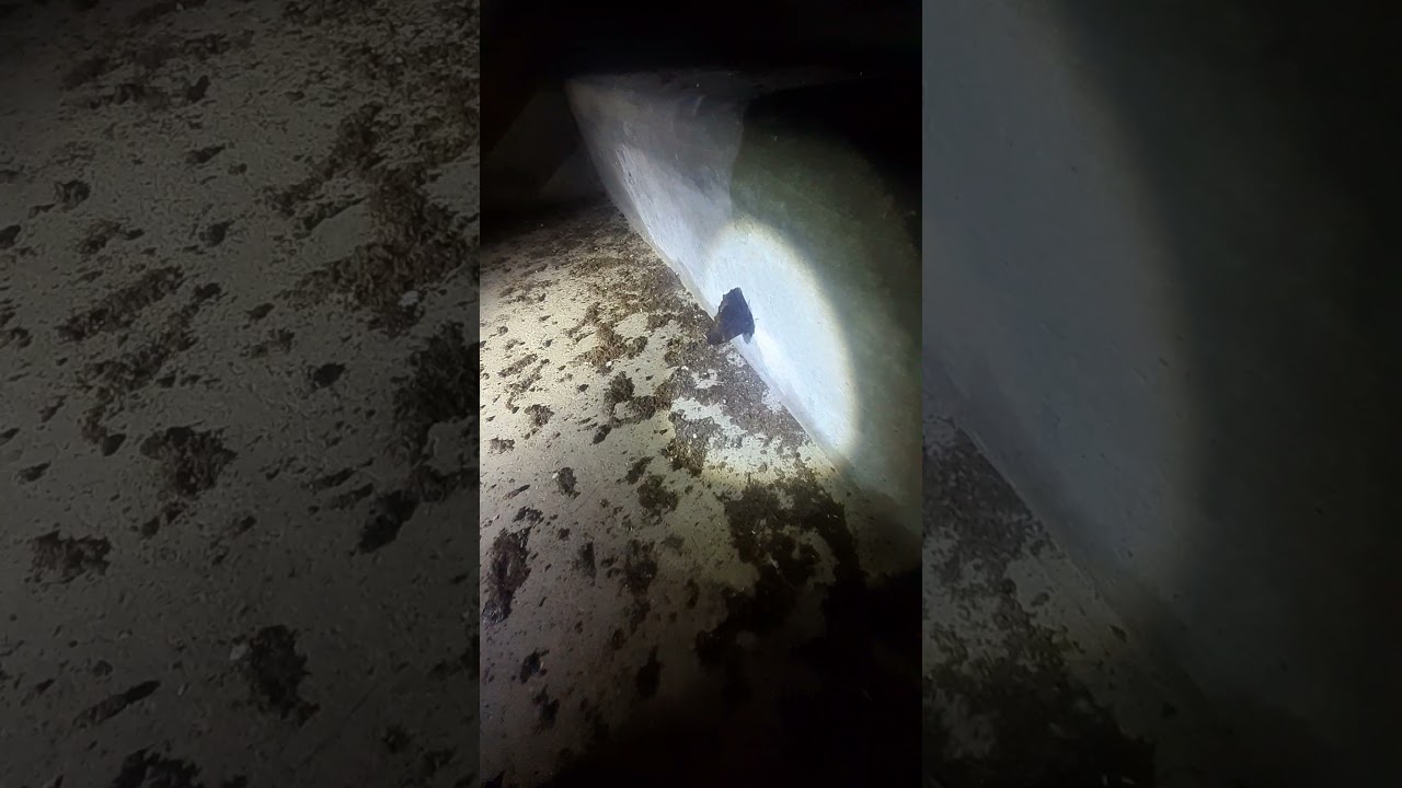 廃墟 青山荘 前編 Youtube