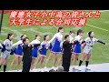 慶應女子小中高と大学生による試合前合同応援　東京六大学野球秋季リーグ早慶戦第２戦　2024 .11. 10（日）神宮球場＃早慶戦