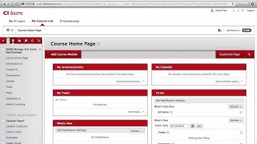 Setting a Course Theme in CI Learn