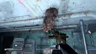 Fallout 4 Mole rat glitch