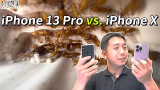 iPhone 13 Pro開箱！微距拍攝螞蟻效果有比iPhone X＋微距 ... 