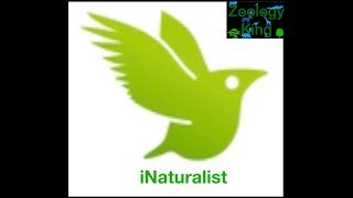 iNaturalist is the Best App Ever