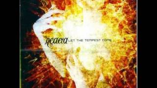 Neaera - God Forsaken Soil (Vocal Cover) + Lyrics