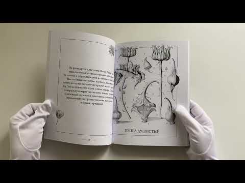 Флорариум: кровожадные цветы, таинственные мхи и безжалостные кактусы Флорариум: кровожадные цветы, таинственные мхи и безжалостные кактусы