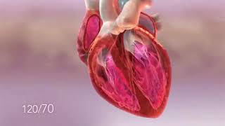 What is Blood Pressure? An Animated Guide to Understanding Blood Pressure Dynamics by Drugs.com 99,004 views 3 years ago 1 minute, 10 seconds