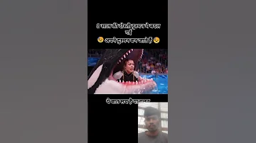 Jessica Radcliffe Accident Original Video Jessica Dolphin Show Incident Jessica Dolphin Shorts 