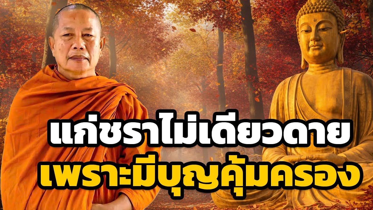 บุญคือเพื่อนร่วมทางชีวิต  ไม่ว่าแก่ชราก็ยังมีความสุข ธรรมะคลายทุกข์ พระมหาบุญช่วย ปัญญาวชิโร 6