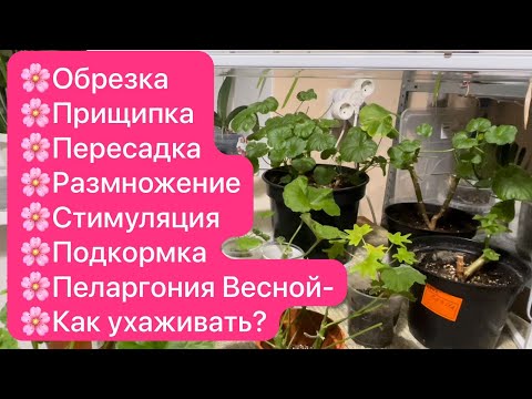 Сделай Весной и