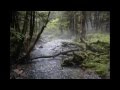 Rain on the river  colin j mackey